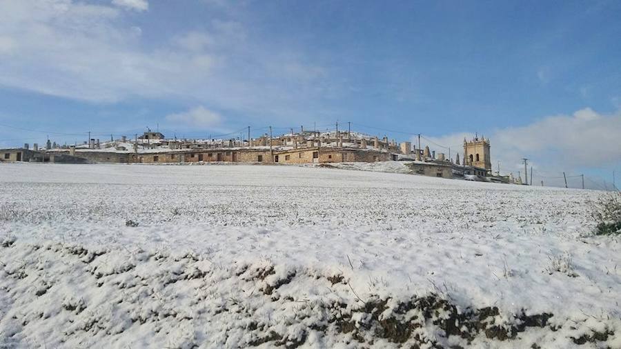 Fotos: La nieve tiñe de blanco el Cerrato palentino