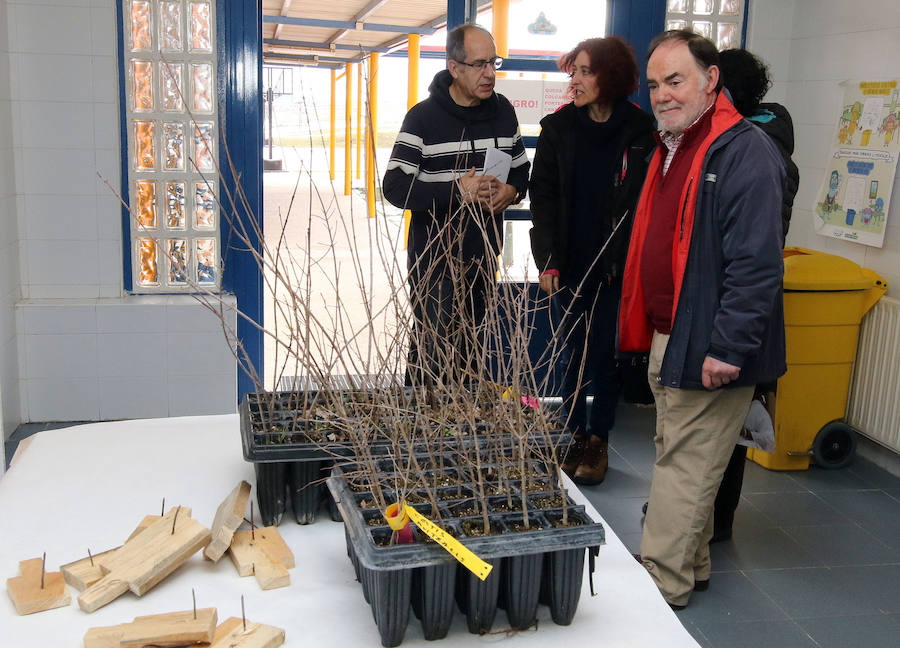 Fotos: Día del Árbol en el colegio Elena Fortun