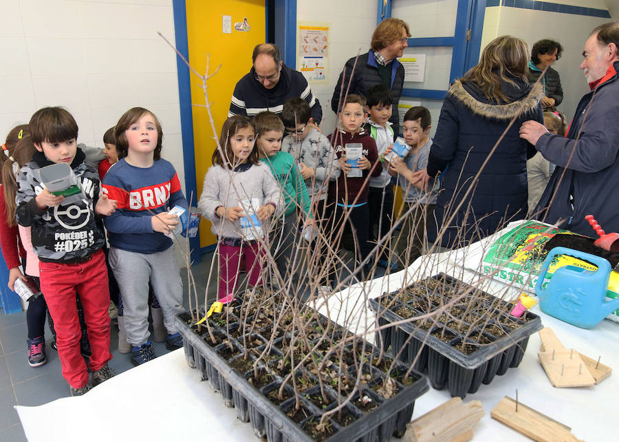 Fotos: Día del Árbol en el colegio Elena Fortun