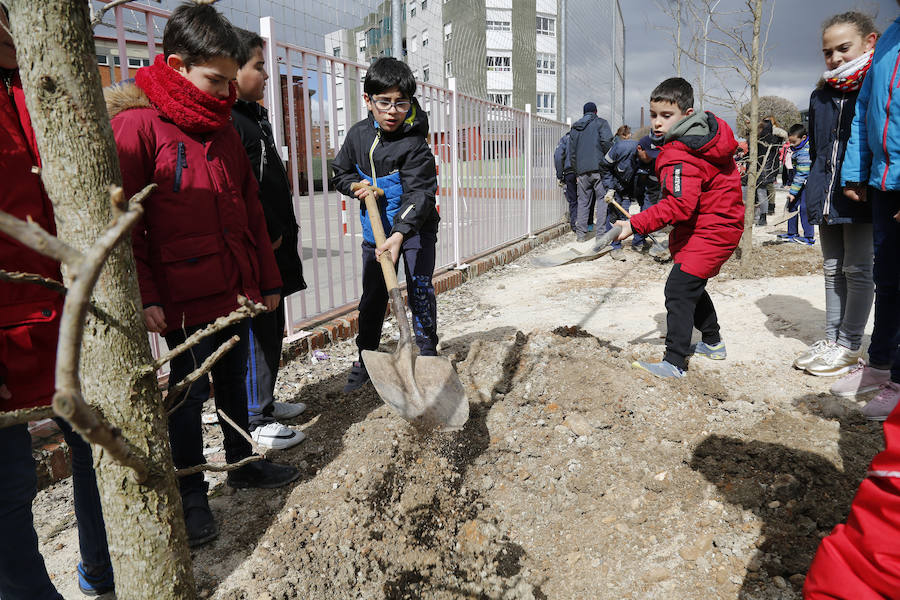 Fotos: Plantación de arboles en la avda Derechos Humanos