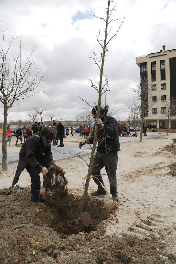 Fotos: Plantación de arboles en la avda Derechos Humanos