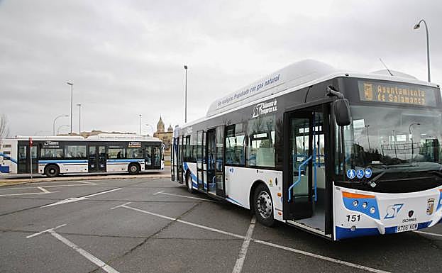 Presentación de los nuevos autobuses que se incorporaron a la flota de la empresa concesionaria Salamanca de Transportes. 