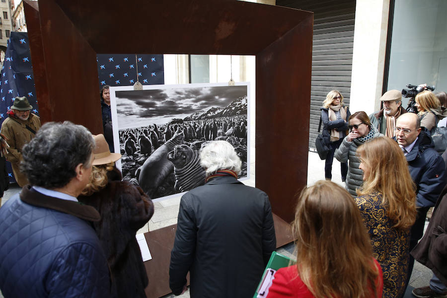 Una selección de 38 instantáneas de cinco lugares diferentes del planeta, apenas explorados por el ser humano, que se encuentra sobre grandes soportes metálicos en la plaza del Liceo y en la calle Toro