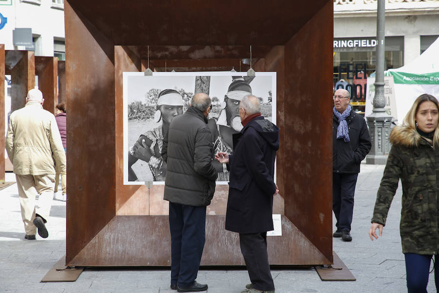 Una selección de 38 instantáneas de cinco lugares diferentes del planeta, apenas explorados por el ser humano, que se encuentra sobre grandes soportes metálicos en la plaza del Liceo y en la calle Toro