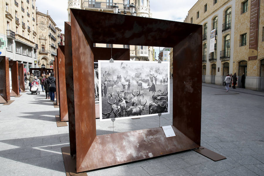 Una selección de 38 instantáneas de cinco lugares diferentes del planeta, apenas explorados por el ser humano, que se encuentra sobre grandes soportes metálicos en la plaza del Liceo y en la calle Toro