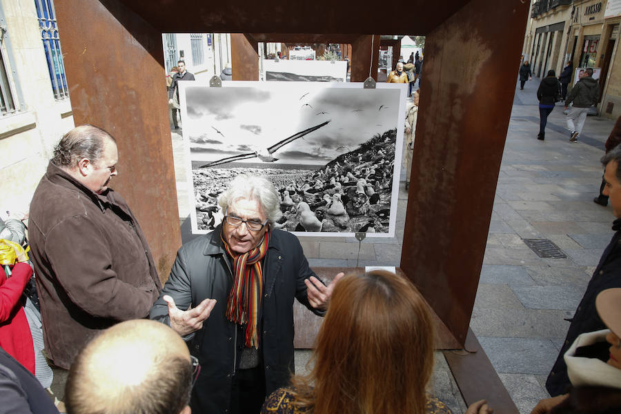 Una selección de 38 instantáneas de cinco lugares diferentes del planeta, apenas explorados por el ser humano, que se encuentra sobre grandes soportes metálicos en la plaza del Liceo y en la calle Toro