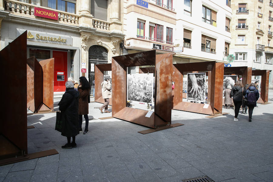 Una selección de 38 instantáneas de cinco lugares diferentes del planeta, apenas explorados por el ser humano, que se encuentra sobre grandes soportes metálicos en la plaza del Liceo y en la calle Toro