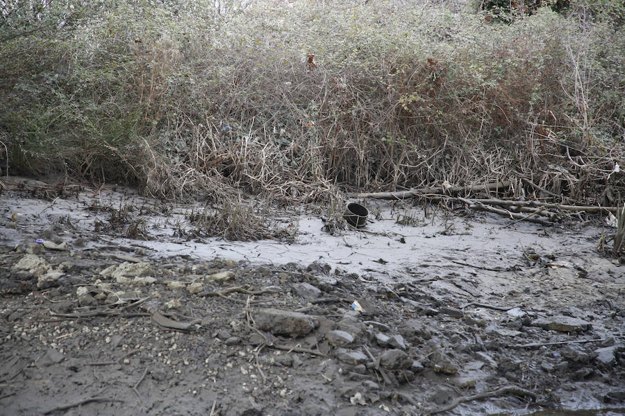 Fotos: Cauce del Tormes tras la rotura de una de las pesqueras que controlan el volumen y el flujo de agua