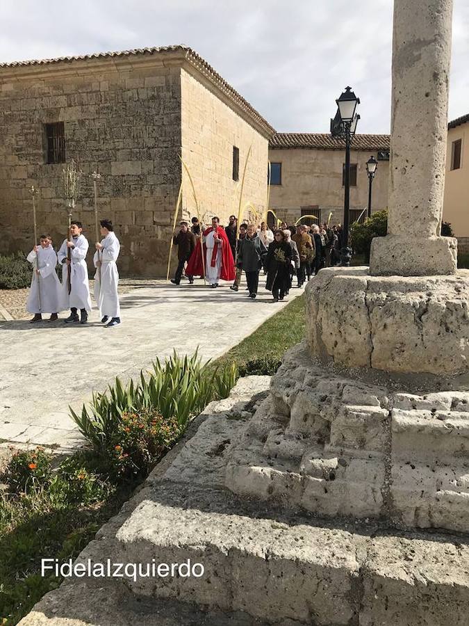 Fotos: Procesión de Ramos, Astudillo Osorno, Paredes y Guardo