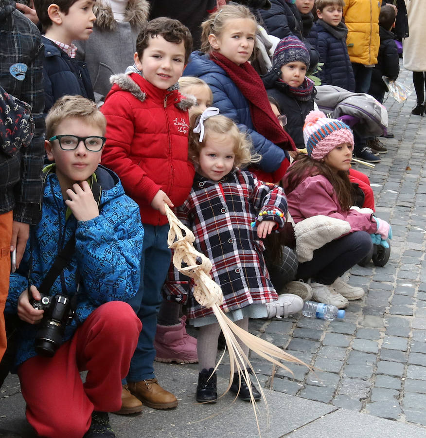 Fotos: Celebración del Domingo de Ramos en Segovia