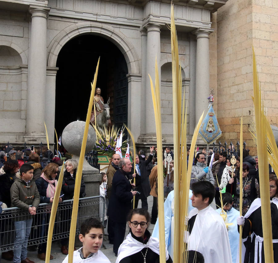 Fotos: Celebración del Domingo de Ramos en Segovia