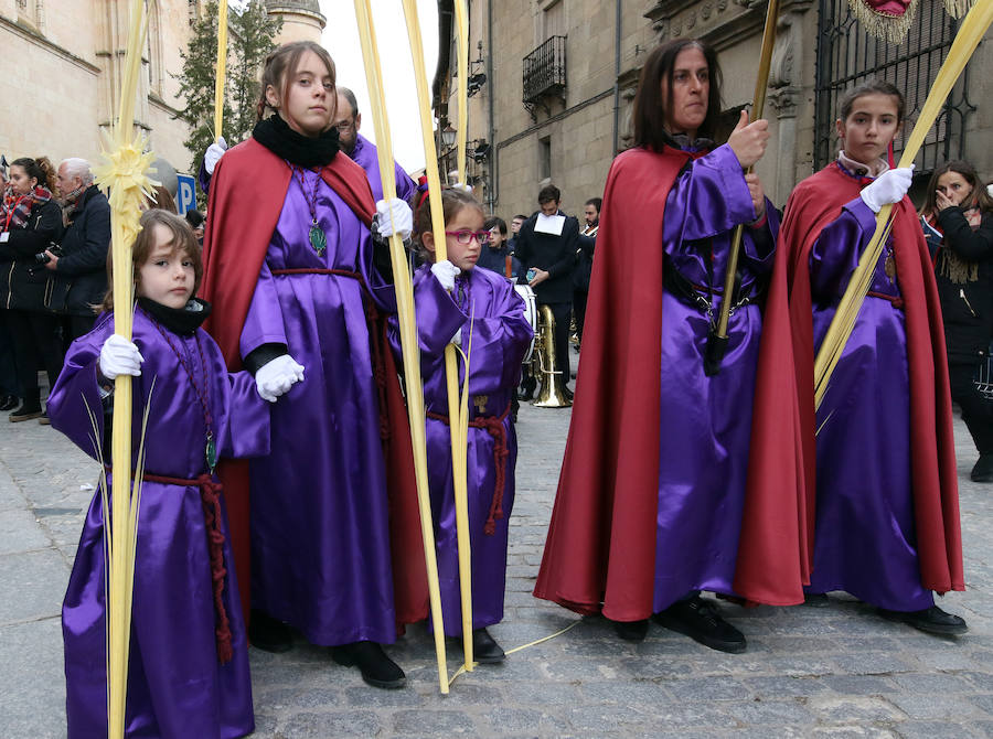 Fotos: Celebración del Domingo de Ramos en Segovia