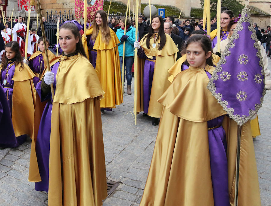 Fotos: Celebración del Domingo de Ramos en Segovia