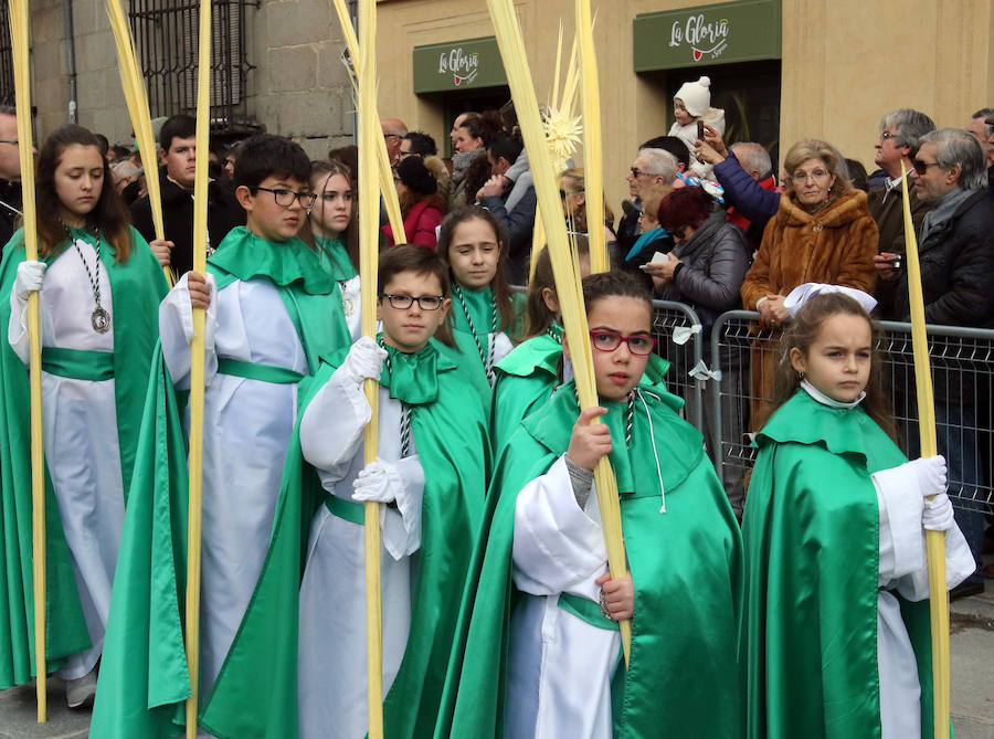 Fotos: Celebración del Domingo de Ramos en Segovia