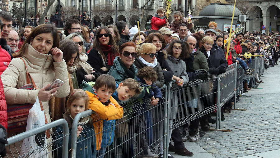 Fotos: Celebración del Domingo de Ramos en Segovia