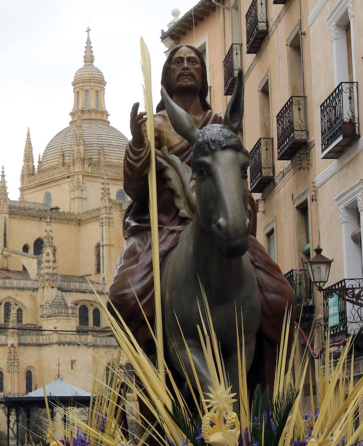 Fotos: Celebración del Domingo de Ramos en Segovia