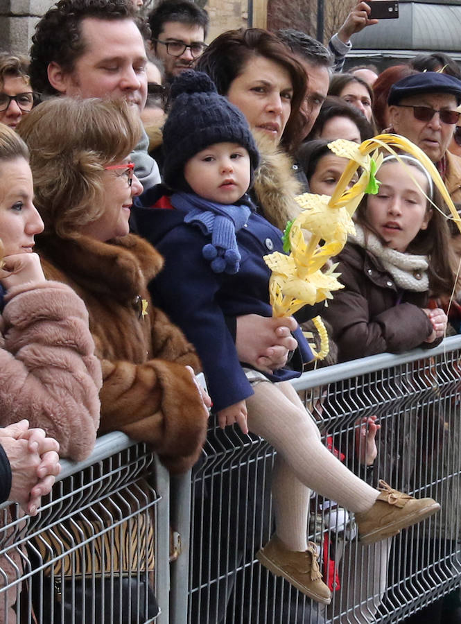 Fotos: Celebración del Domingo de Ramos en Segovia