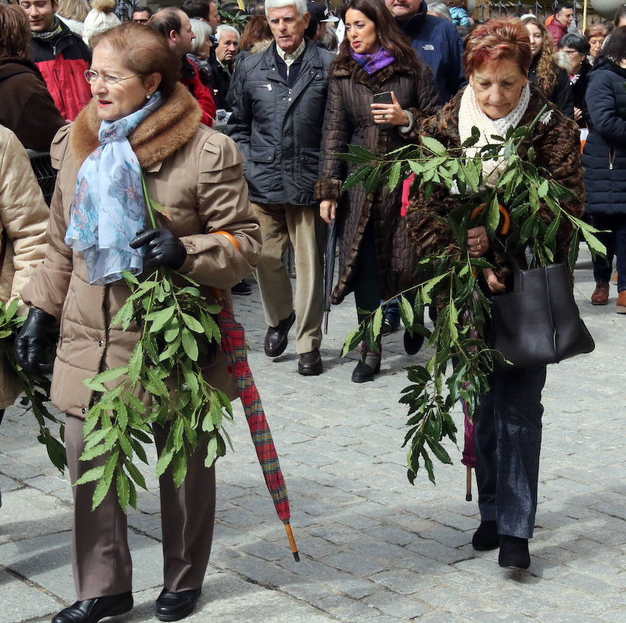 Fotos: Celebración del Domingo de Ramos en Segovia