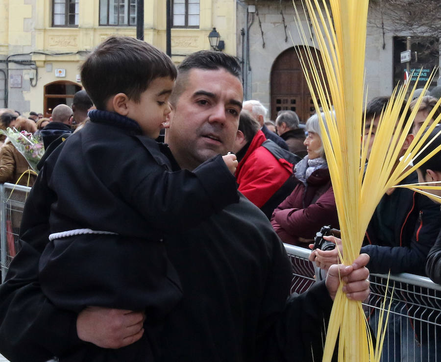 Fotos: Celebración del Domingo de Ramos en Segovia
