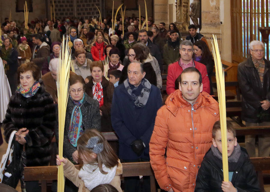 Fotos: Celebración del Domingo de Ramos en Segovia