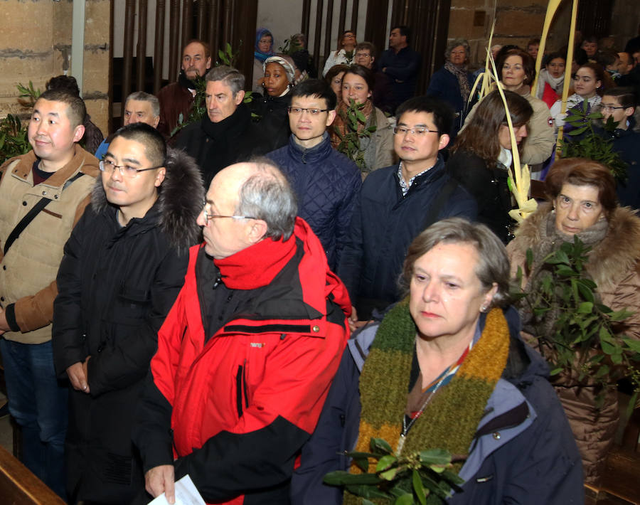 Fotos: Celebración del Domingo de Ramos en Segovia