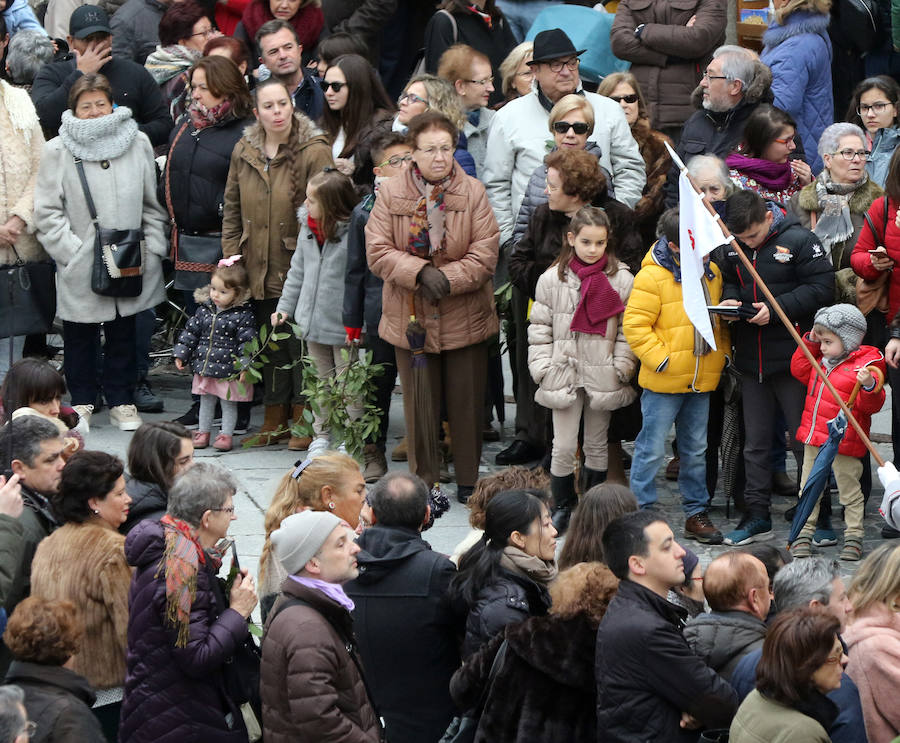 Fotos: Celebración del Domingo de Ramos en Segovia