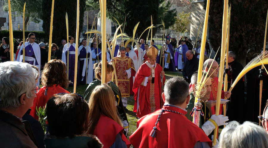 Fotos: Procesión de &#039;La borriquilla&#039; en Valladolid