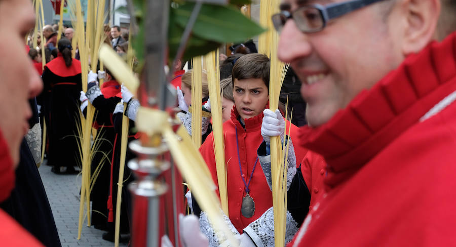 Fotos: Procesión de &#039;La borriquilla&#039; en Valladolid