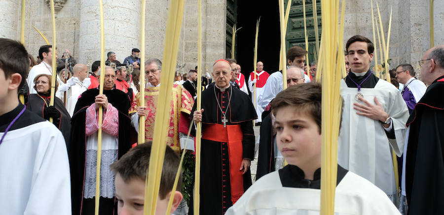 Fotos: Procesión de &#039;La borriquilla&#039; en Valladolid