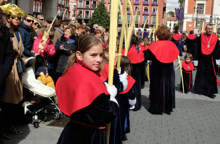 Fotos: Procesión de &#039;La borriquilla&#039; en Valladolid