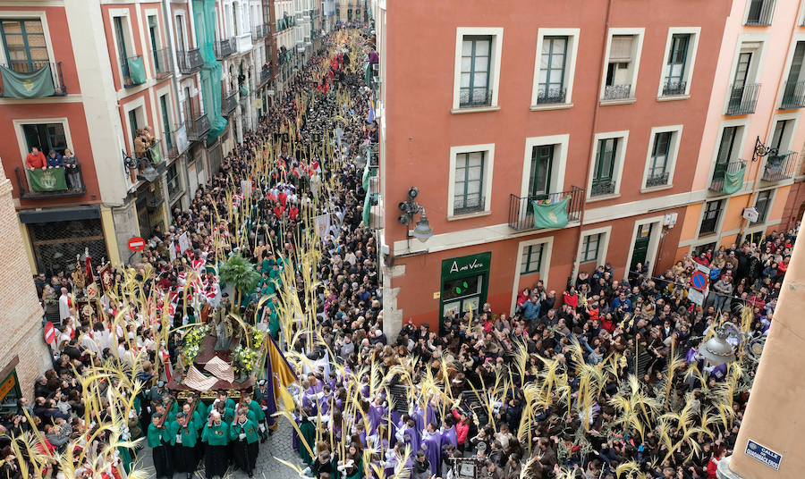 Fotos: Procesión de &#039;La borriquilla&#039; en Valladolid