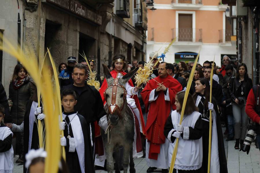 Fotos: Procesión de &#039;La borriquilla&#039; en Peñafiel