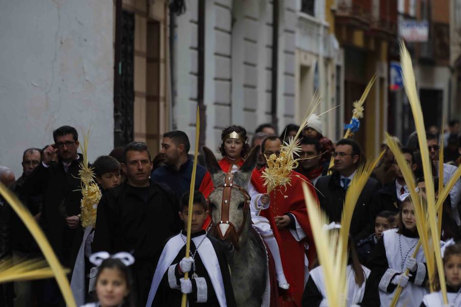 Fotos: Procesión de &#039;La borriquilla&#039; en Peñafiel