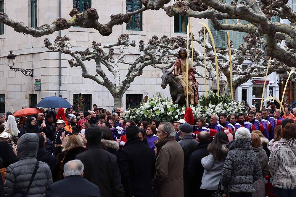 Fotos: Las imágenes de la Procesión de Jesús en La Borriquilla