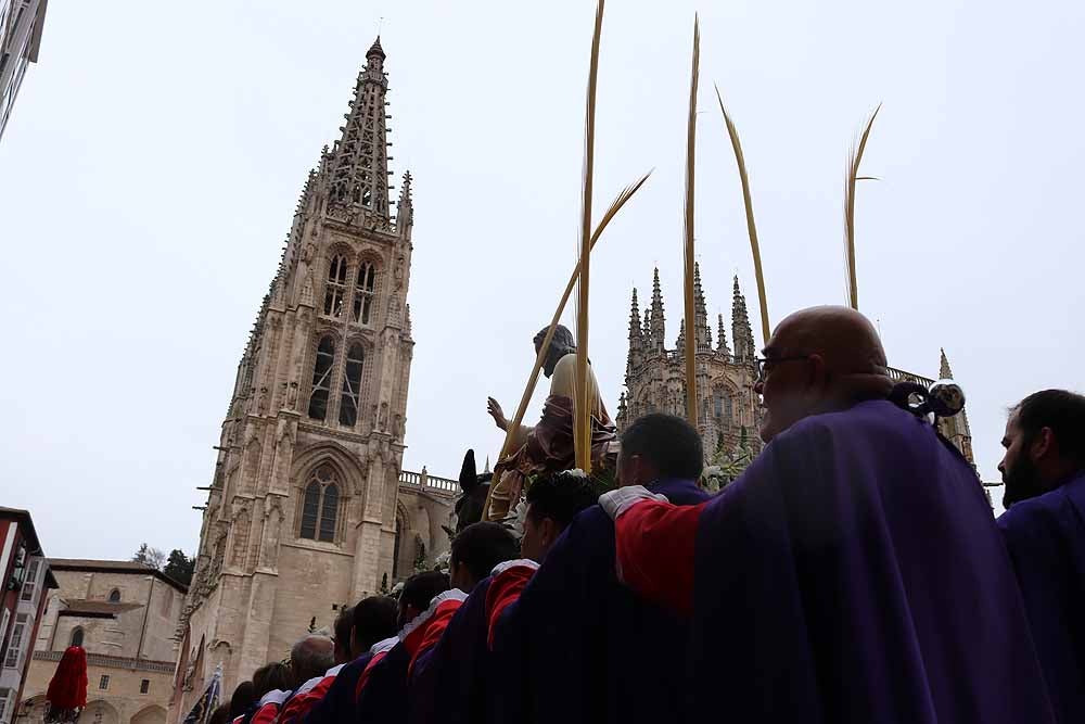 Fotos: Las imágenes de la Procesión de Jesús en La Borriquilla