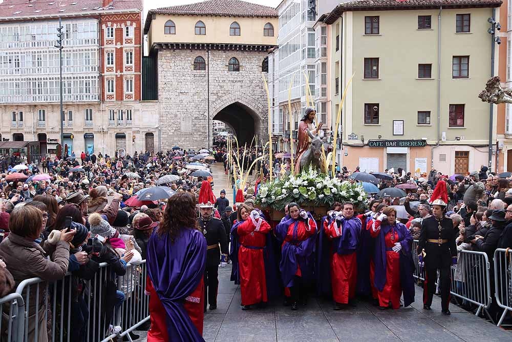 Fotos: Las imágenes de la Procesión de Jesús en La Borriquilla