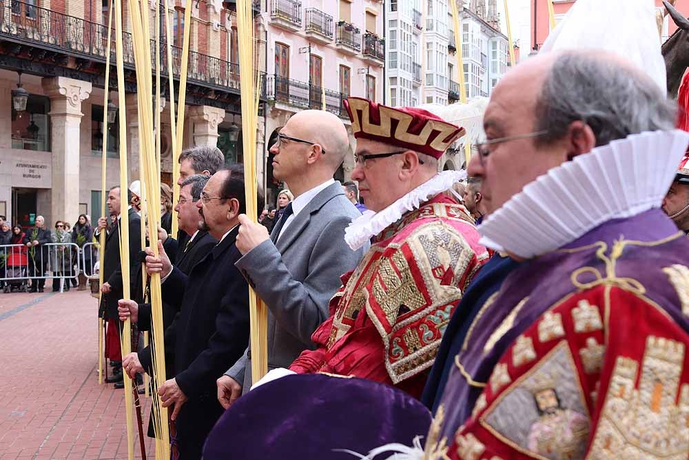 Fotos: Las imágenes de la Procesión de Jesús en La Borriquilla