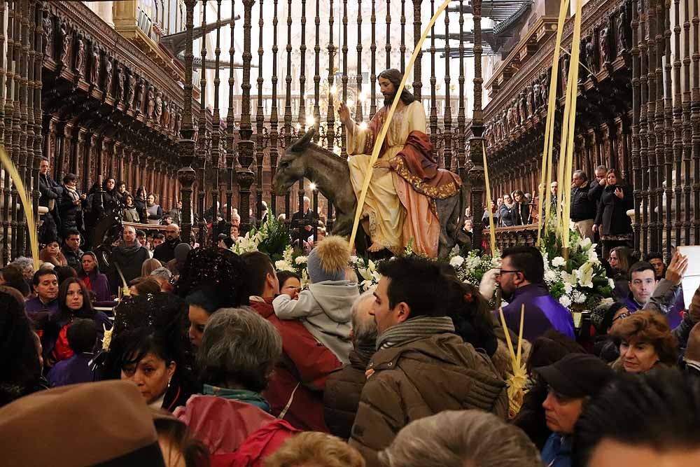 Fotos: Las imágenes de la Procesión de Jesús en La Borriquilla