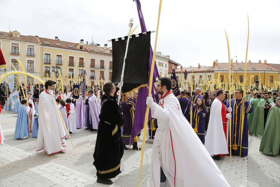 Fotos: Las imágenes de la procesión de Ramos en Palencia