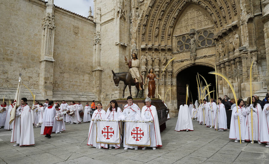 Fotos: Las imágenes de la procesión de Ramos en Palencia