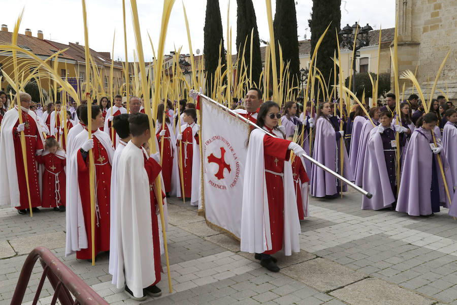 Fotos: Las imágenes de la procesión de Ramos en Palencia