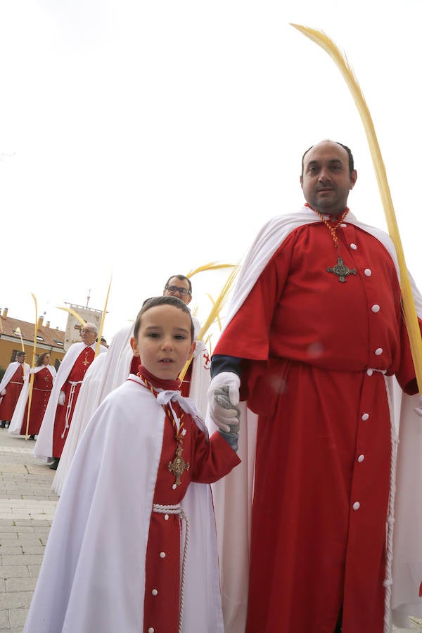 Fotos: Las imágenes de la procesión de Ramos en Palencia