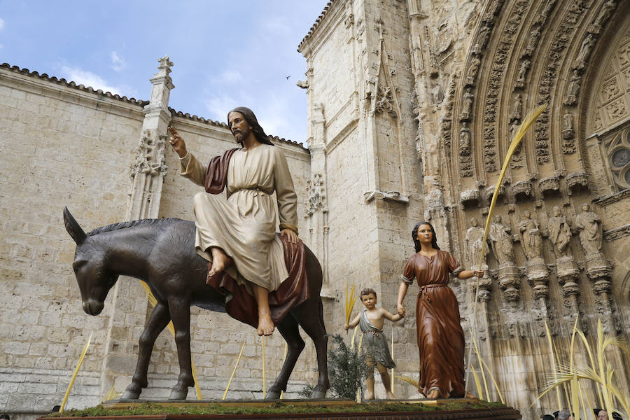 Fotos: Las imágenes de la procesión de Ramos en Palencia