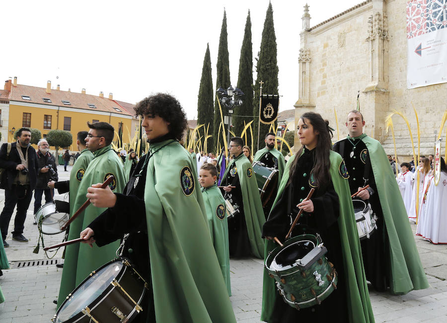 Fotos: Las imágenes de la procesión de Ramos en Palencia