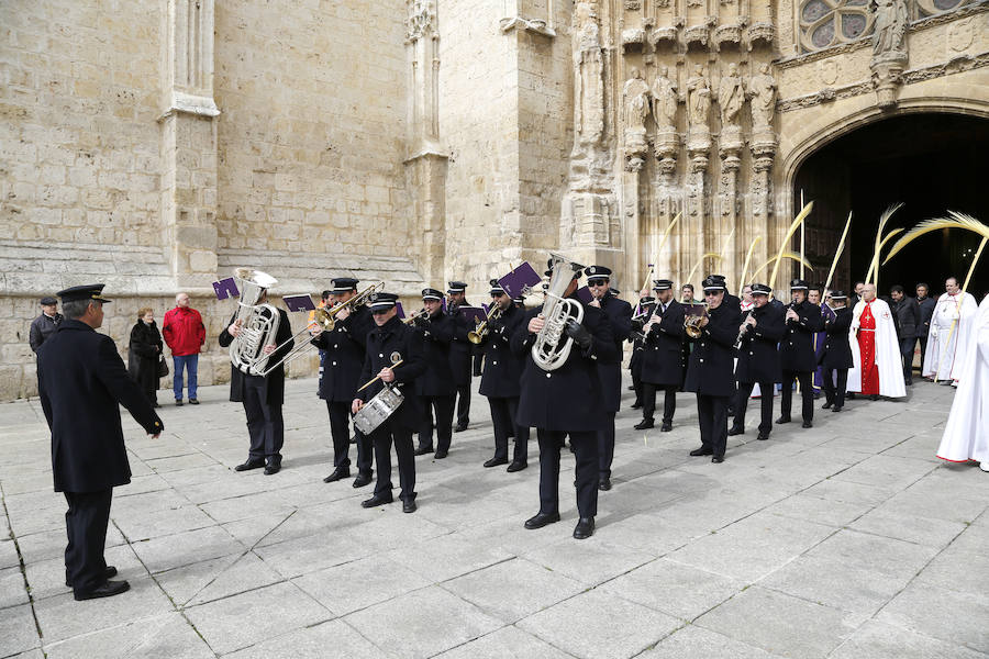 Fotos: Las imágenes de la procesión de Ramos en Palencia