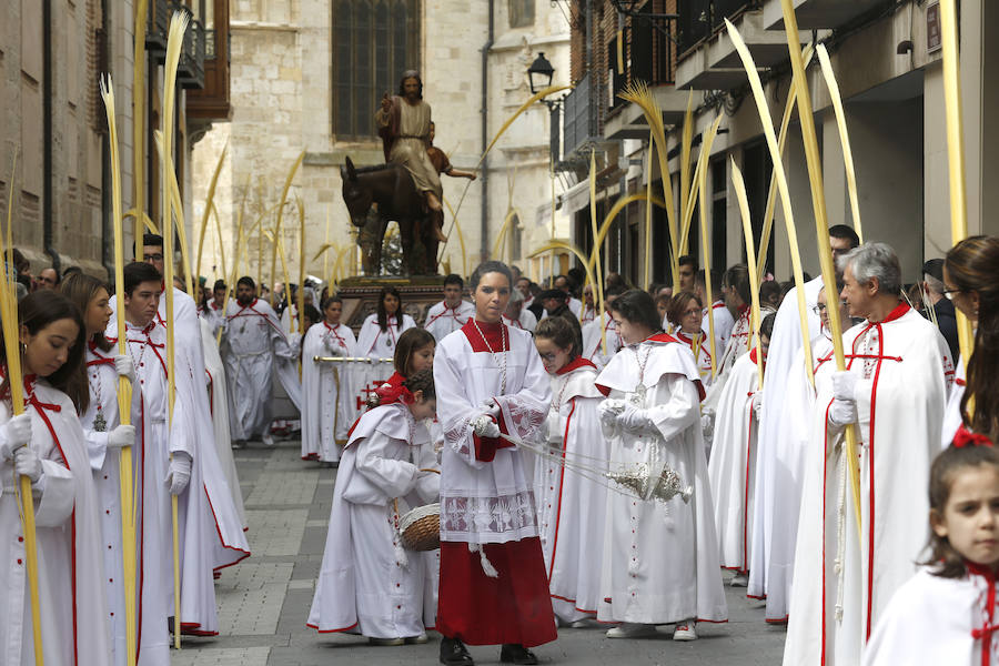 Fotos: Las imágenes de la procesión de Ramos en Palencia