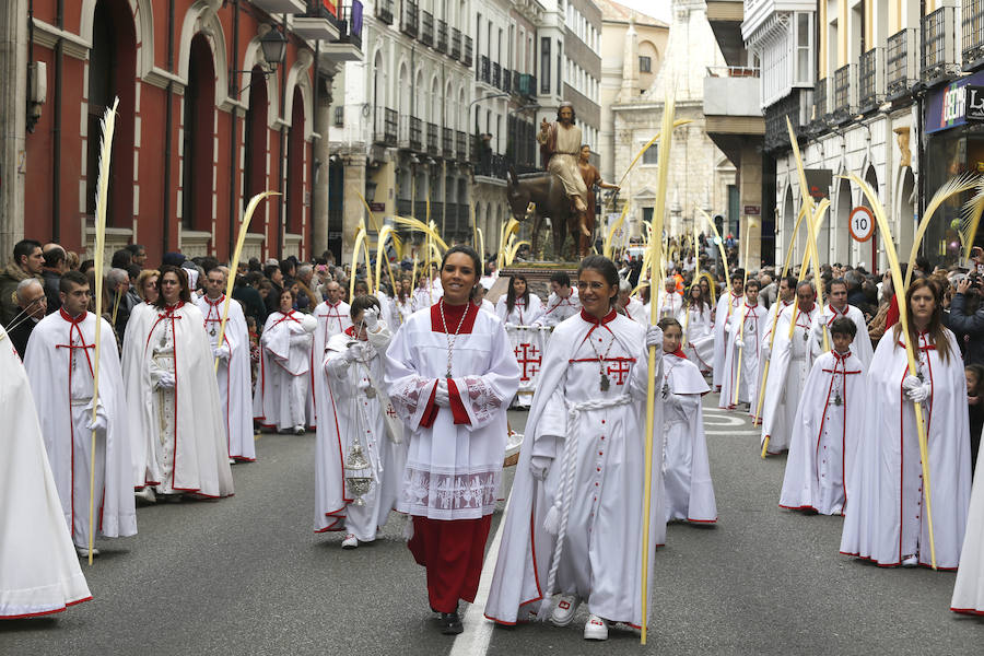 Fotos: Las imágenes de la procesión de Ramos en Palencia