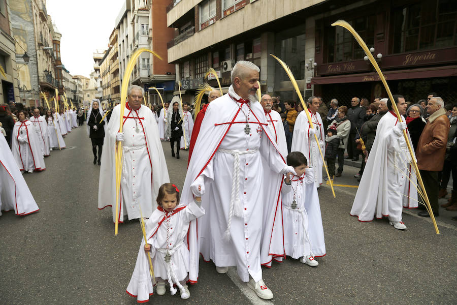 Fotos: Las imágenes de la procesión de Ramos en Palencia