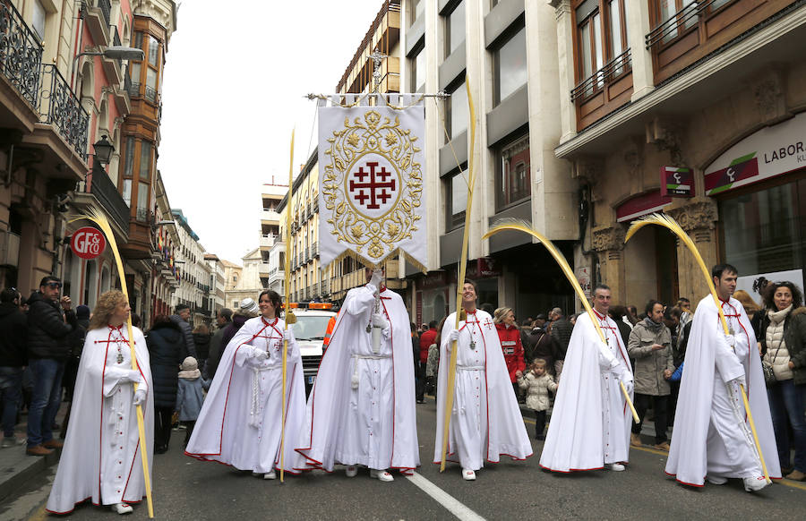 Fotos: Las imágenes de la procesión de Ramos en Palencia