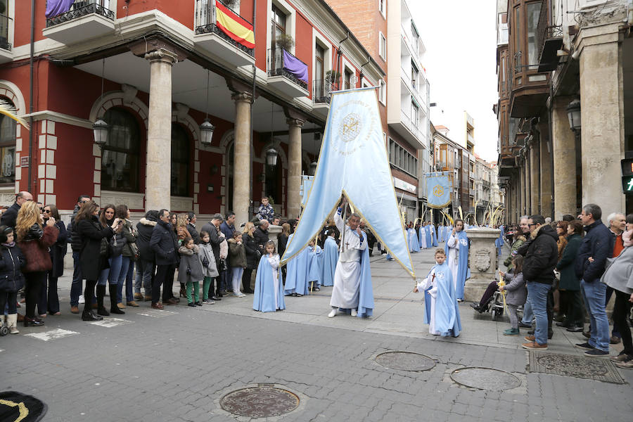 Fotos: Las imágenes de la procesión de Ramos en Palencia